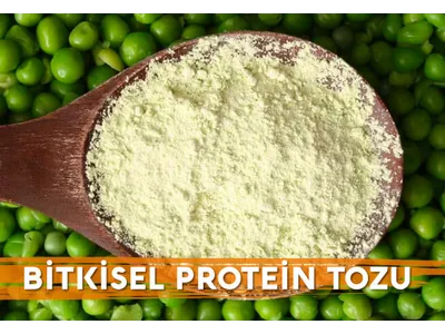 Bitkisel Protein Tozu Nedir ve Nasıl Kullanılır?