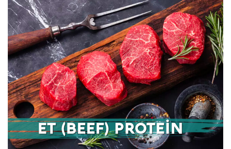Et Protein Tozu Nedir ve Nasıl Kullanılır?
