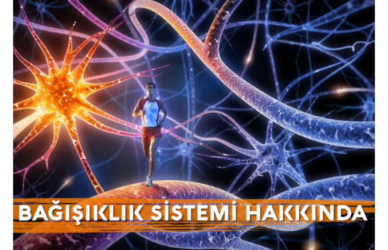 Güçlü Bir Bağışıklık Sistemi için 9 Öneri