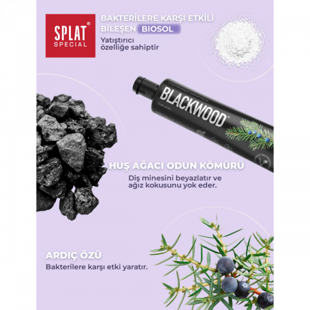 Splat Special Blackwood Diş Macunu