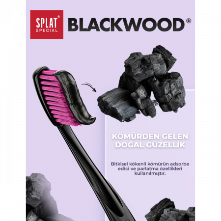 Splat Special Blackwood Diş Macunu