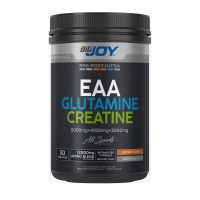 BigJoy EAA + Glutamine + Creatine