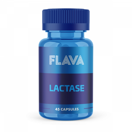 Protein Ocn Lactase