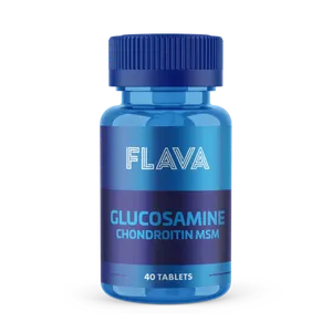 Protein Ocean Glucosamine Chondroitin MSM