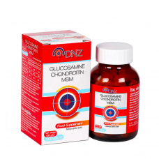 DNZ Glucosamine Chondroitin MSM