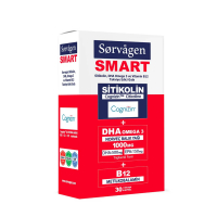 Sorvagen Smart Sitikolin DHA Omega 3 ve B12