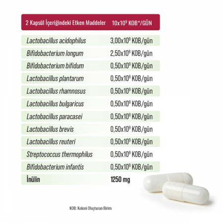 Probien Probiyotik Prebiyotik