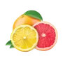Citrus Punch