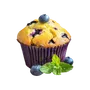Blueberry Muffin