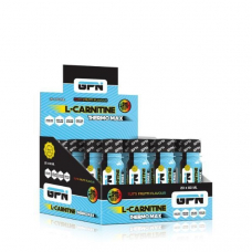 GPN L-Carnitine Thermo Max 3000 mg